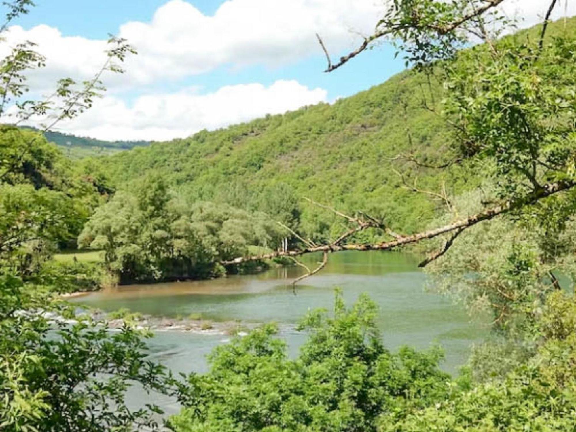 Gite Brousse Le Chateau Villa Montclar  Bagian luar foto